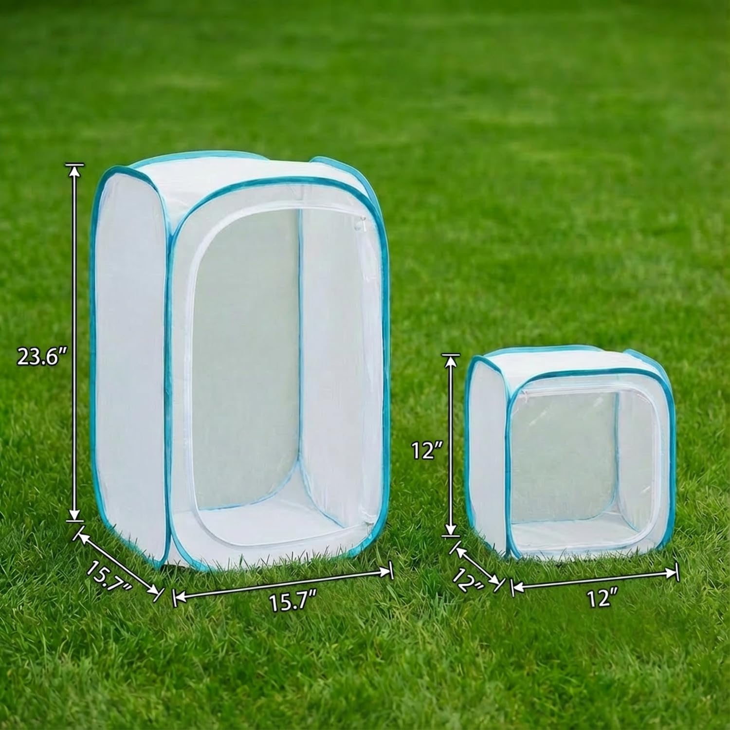 KraAra spacious 12 inch interior habitat accommodates caterpillars safely