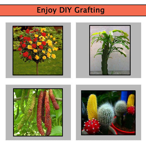 KREWEY ABS handles provide a comfortable grip during grafting sessions.
