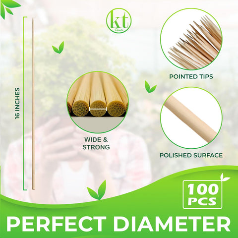KT Deals bamboo stake supports tomatoes and beans for steady growth.