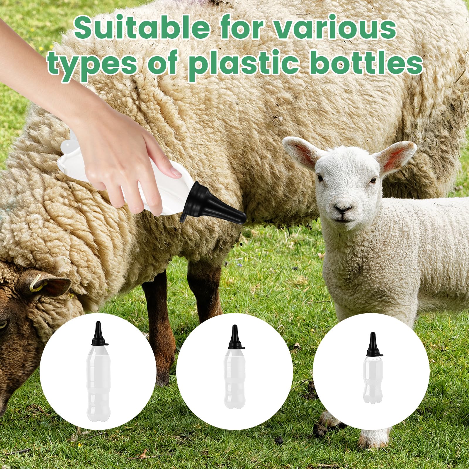 KTXM silicone nipple with soft touch for soothing lambs during feeding.