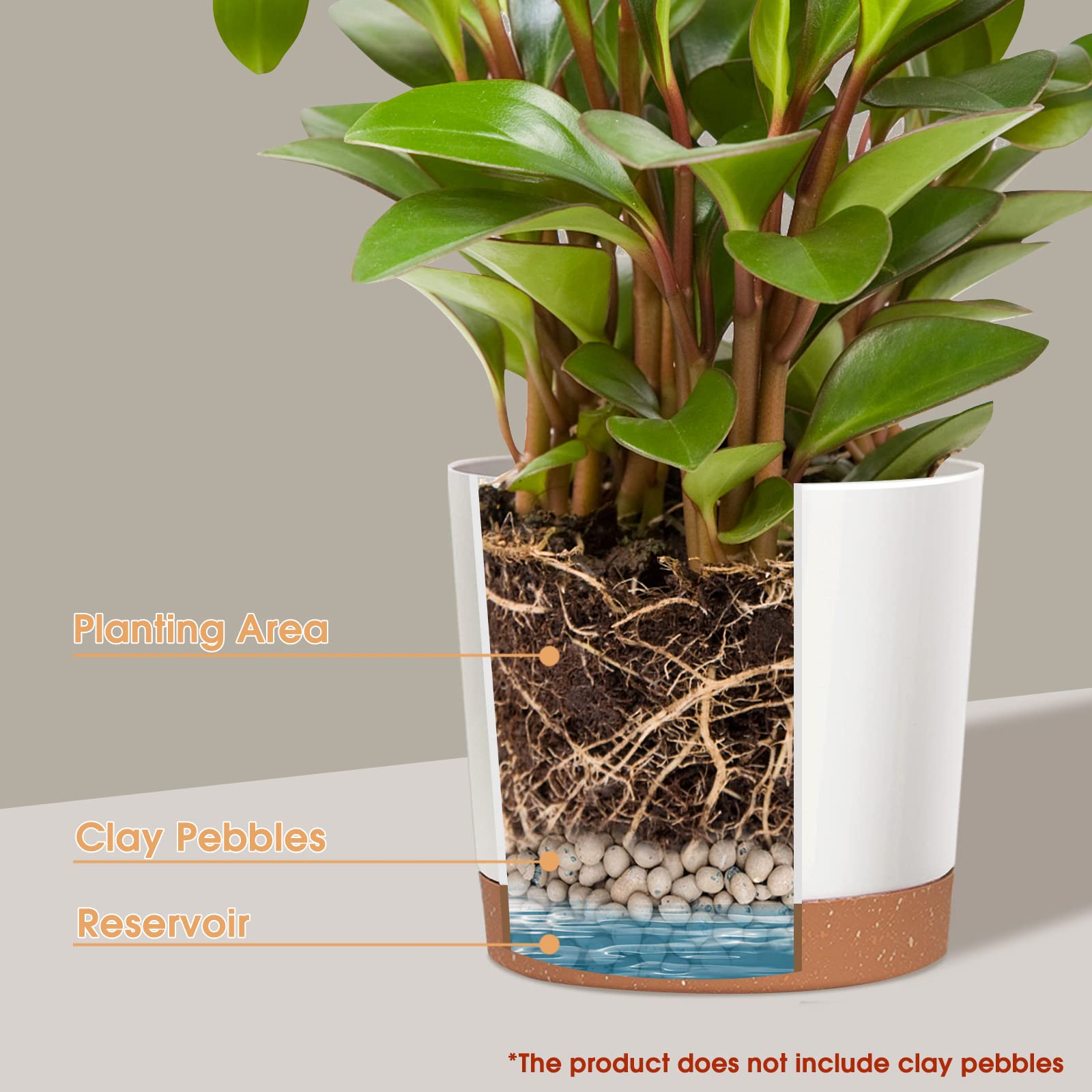 kubvici 10-inch green plant pot ideal for herbs and succulents with stylish look