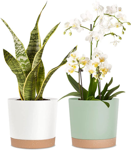 kubvici 8in green planter front view for indoor decor and easy plant placement.