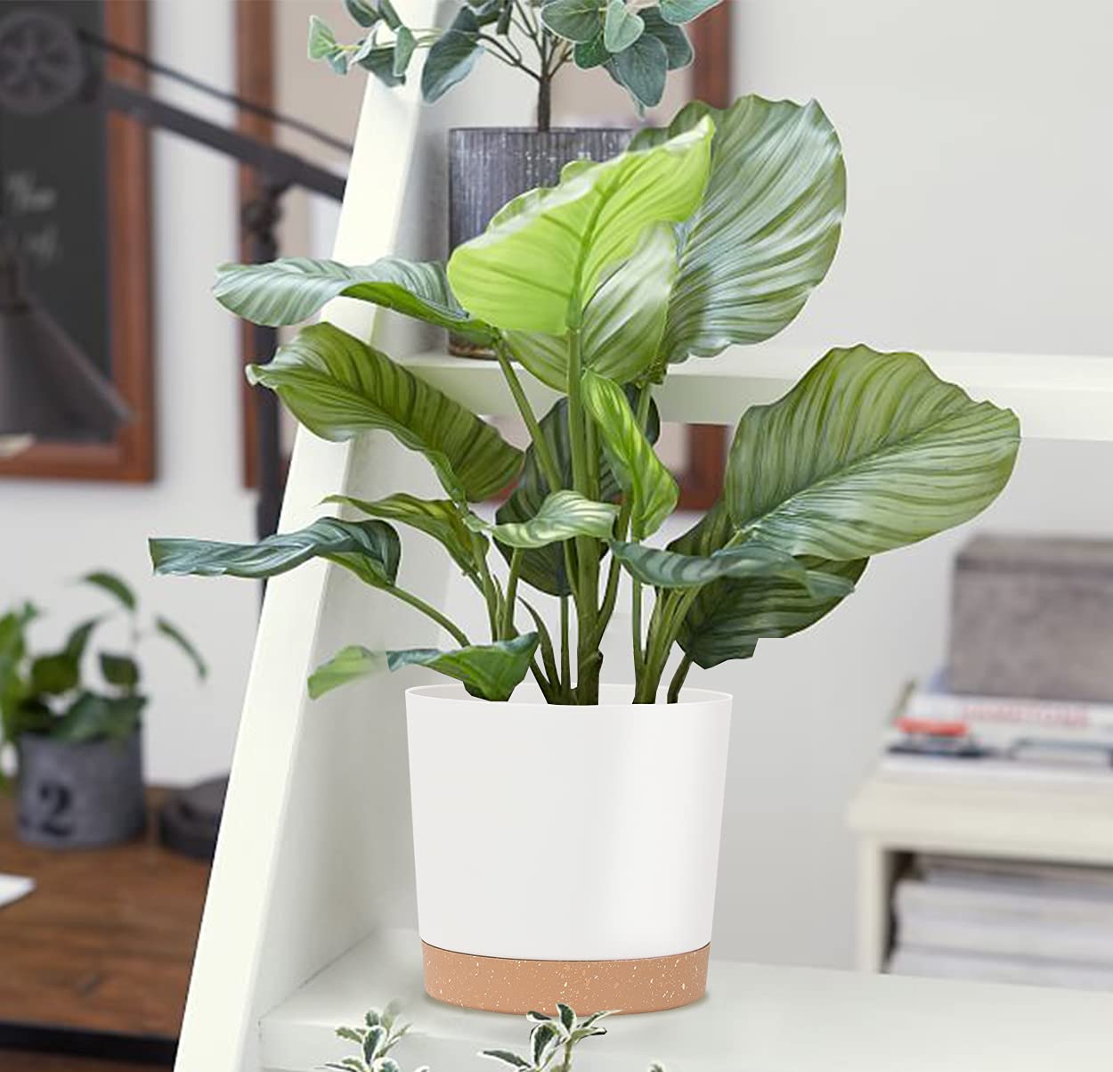 kubvici 8in planters are ideal on windowsills, shelves, and desks.