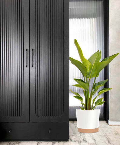 kubvici living room planter pairs well with shelves and coffee tables