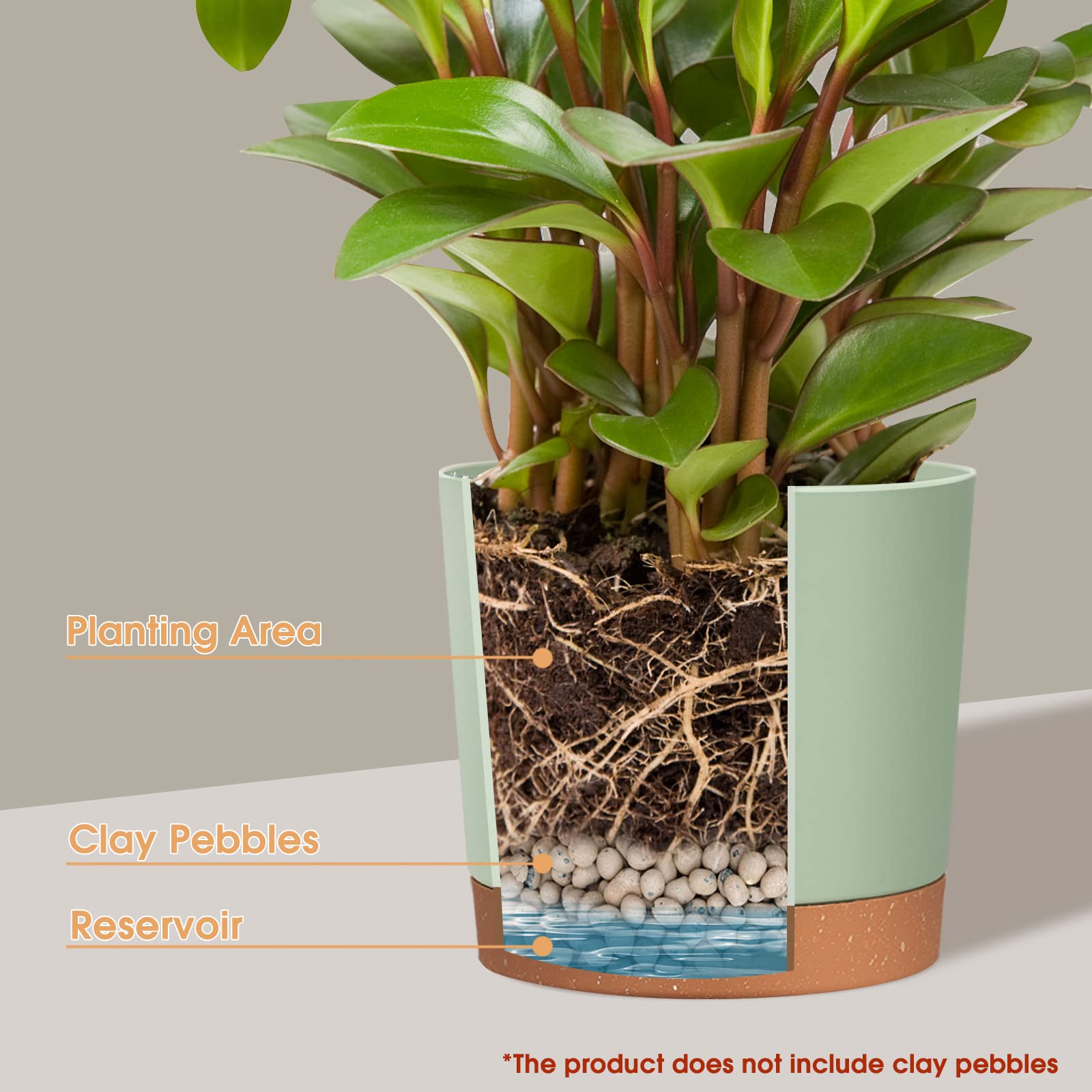 kubvici minimalist matte finish planter highlighting modern home decor.