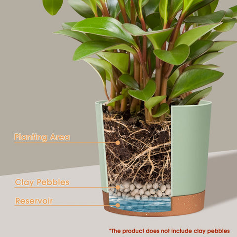 kubvici minimalist matte finish planter highlighting modern home decor.