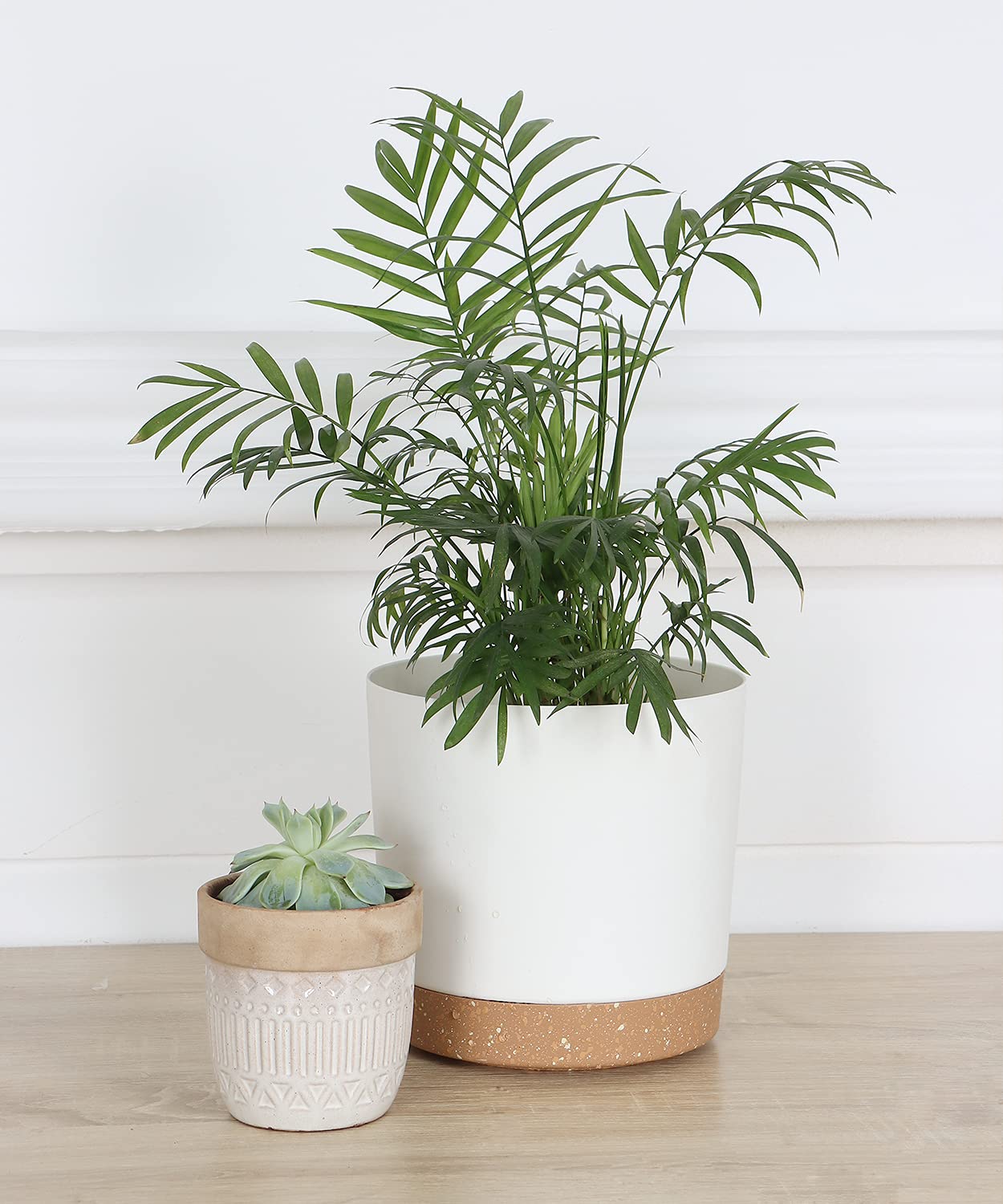 kubvici polypropylene planter with thick sidewalls for lasting sturdiness.