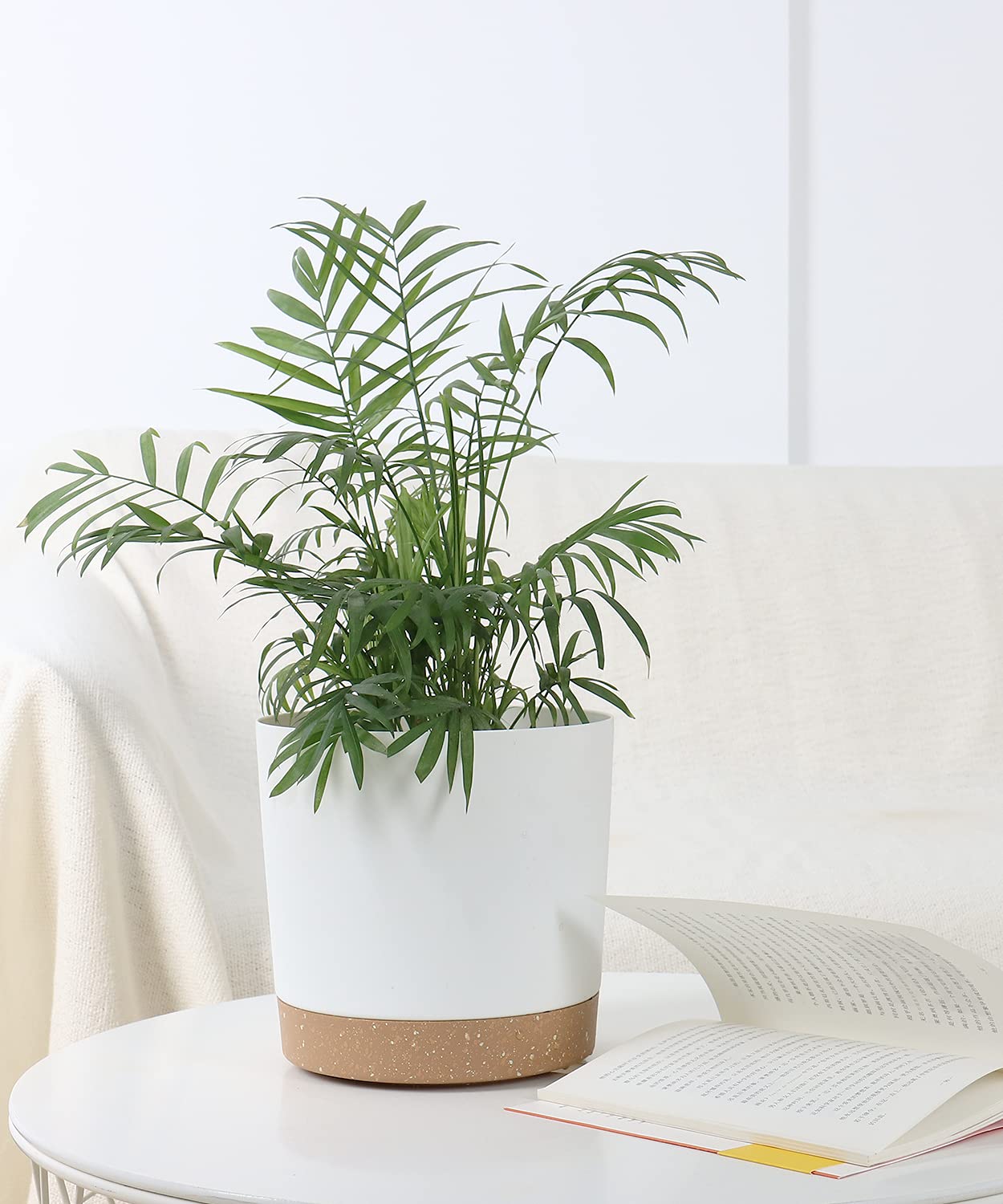 kubvici set of two planters fits various small to medium plants.