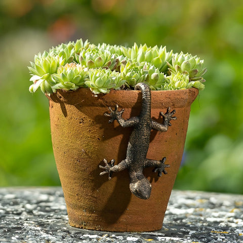 Kudriod bronze gecko fairy garden terrarium accent enhances miniature landscapes.