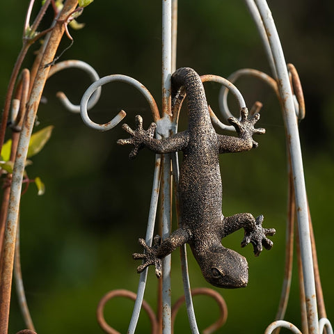 Kudriod gecko planter edge hanger easily attaches to pots or ledges.