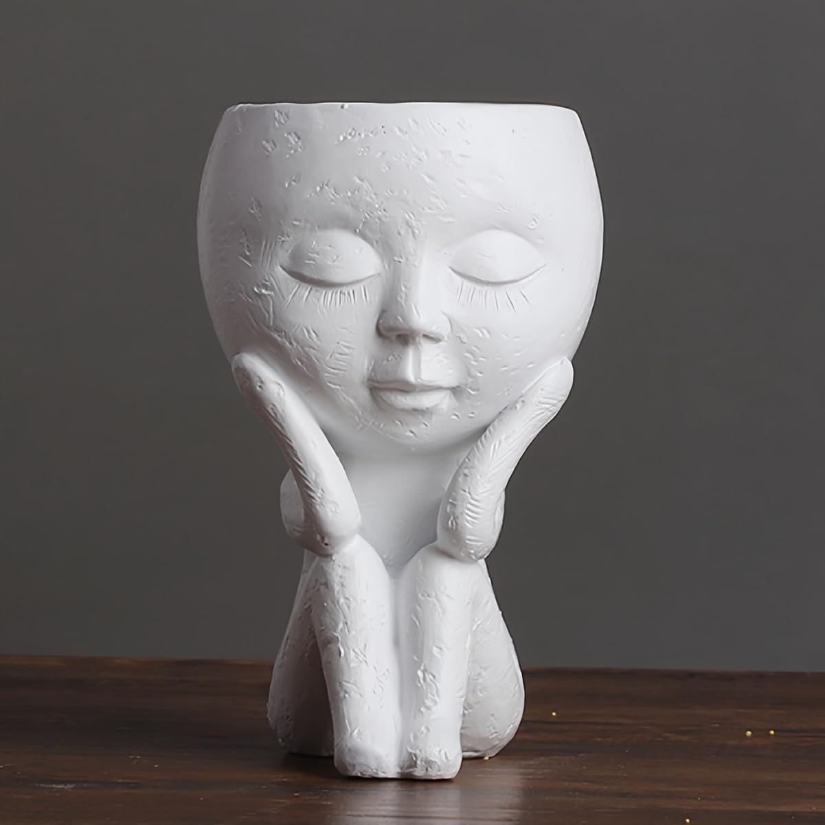 Kudriod mini planter gift for moms and plant lovers on special occasions.