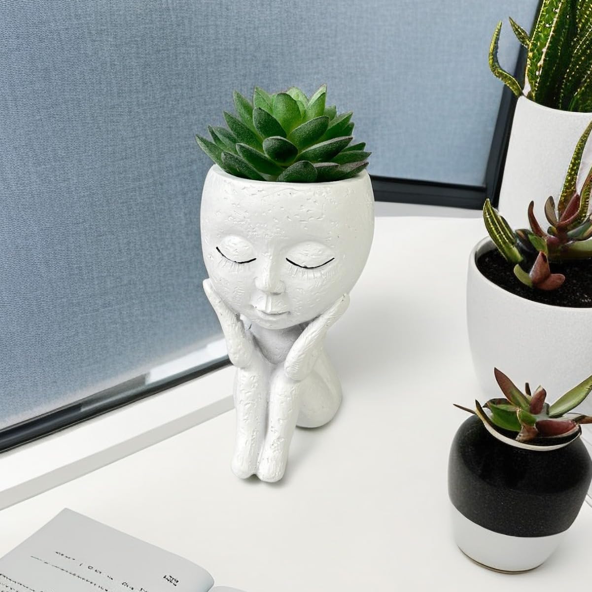 Kudriod small face planter used as garden decor on a sunny balcony.