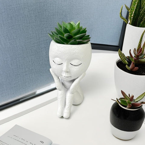Kudriod small face planter used as garden decor on a sunny balcony.