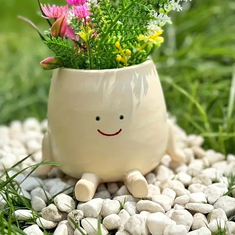 Kudriod Smiley Face Planter with succulent demonstrates compact space-saving decor