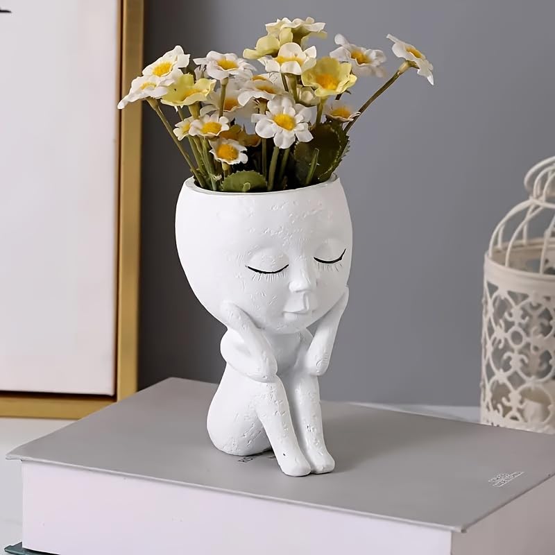 Kudriod succulent planter with a playful face head for small indoor displays.