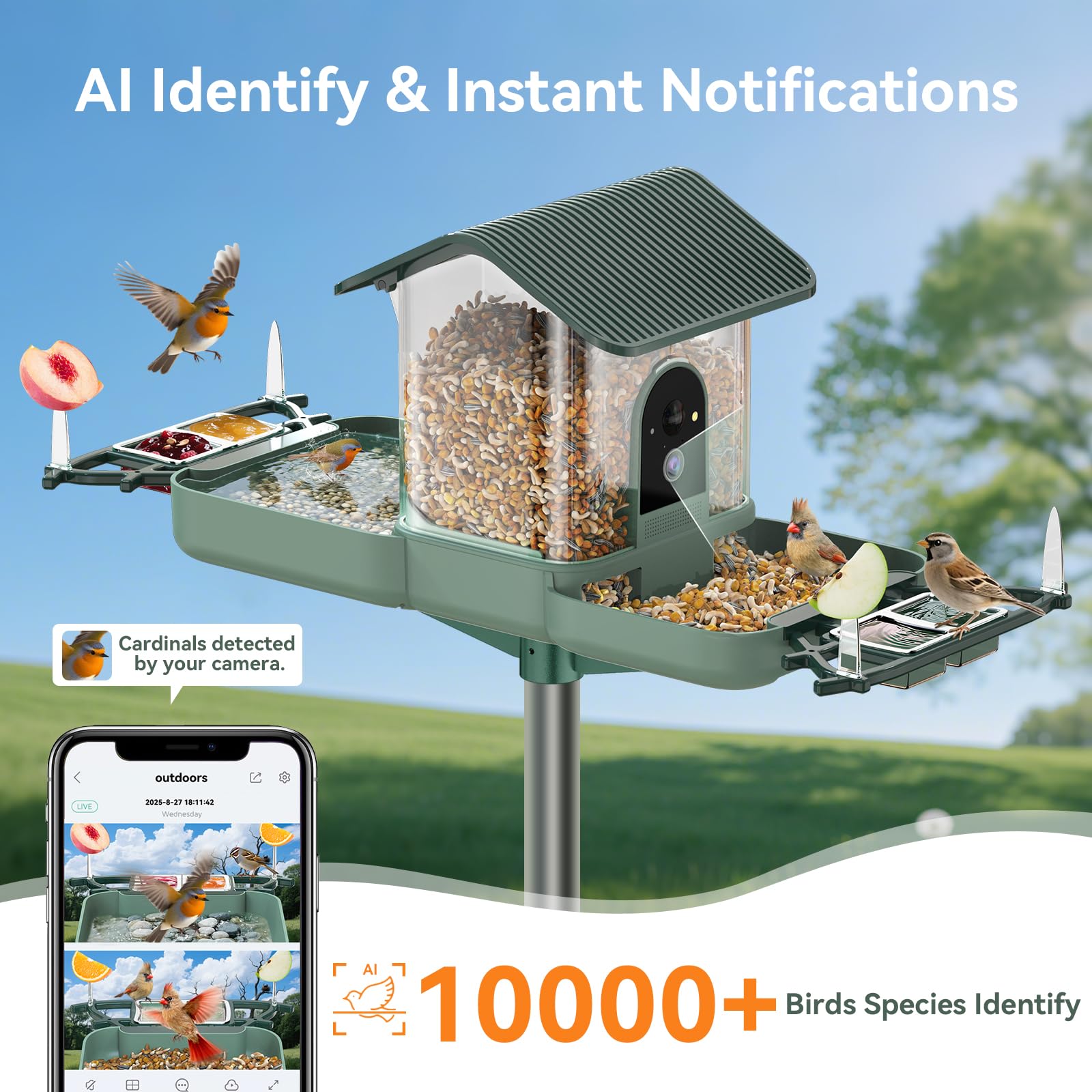 KUIKEO 2K HD camera captures vivid birds feeding day and night.