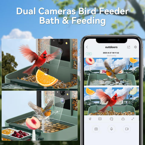 KUIKEO AI recognition alerts you when new species arrive.