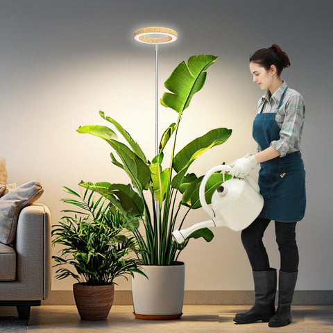 Kullsinss halo grow light with woodgrain design for stylish indoor plant care