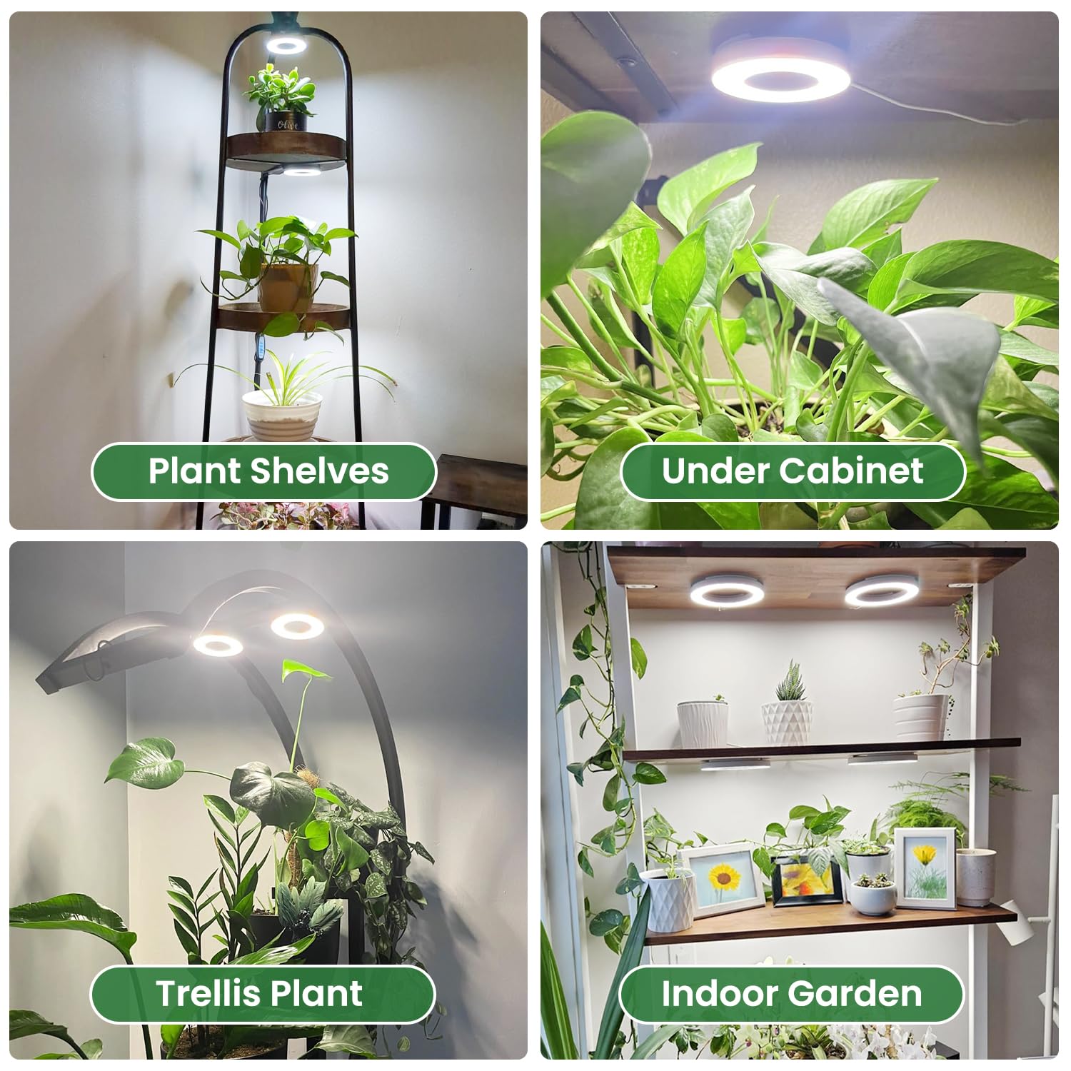 Kullsinss plant light full-spectrum diodes highlighted for healthy growth