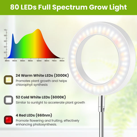 Kullsinss smart controller with digital options for precise lighting control