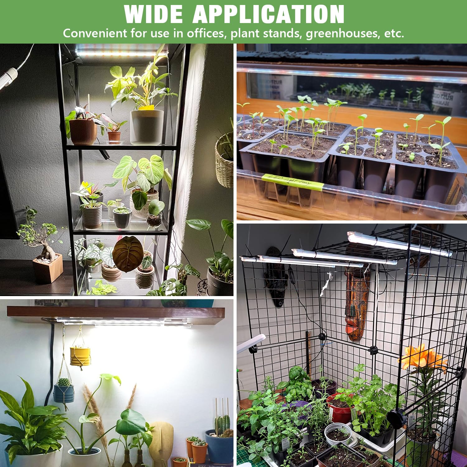 Kullsinss Succulent seeding growth support with sunlike spectrum
