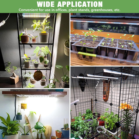 Kullsinss Succulent seeding growth support with sunlike spectrum