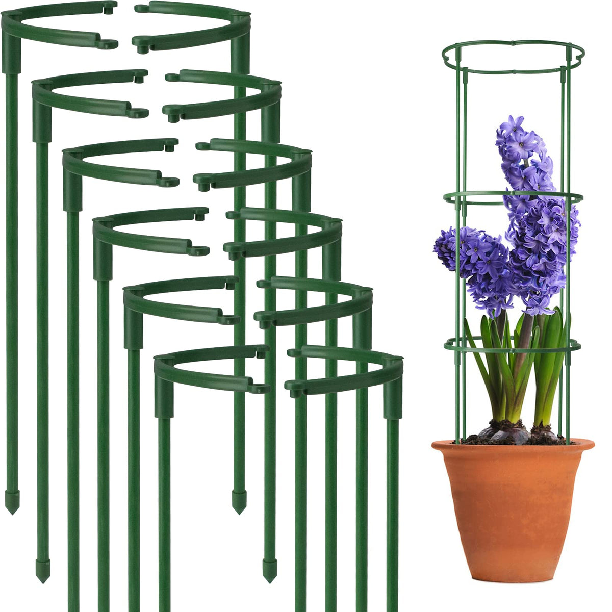 The kulusion 12-pack half-round plant stake supports tomato vines for steady growth.