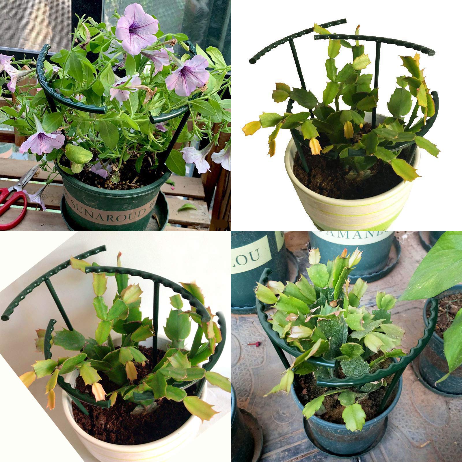 Kulusion easy-install half-round stake simplifies setup for quick plant support.