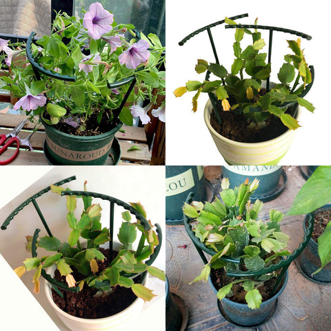 Kulusion easy-install half-round stake simplifies setup for quick plant support.