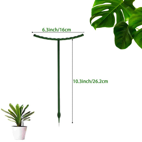 Kulusion garden flower support ring keeps stems aligned for tidy borders.