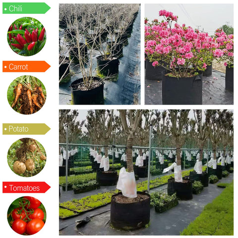 KuMers drain-efficient design promotes proper water flow and root care