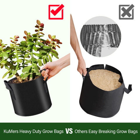 KuMers mobile grow bags enabling easy relocation for sunlight optimization