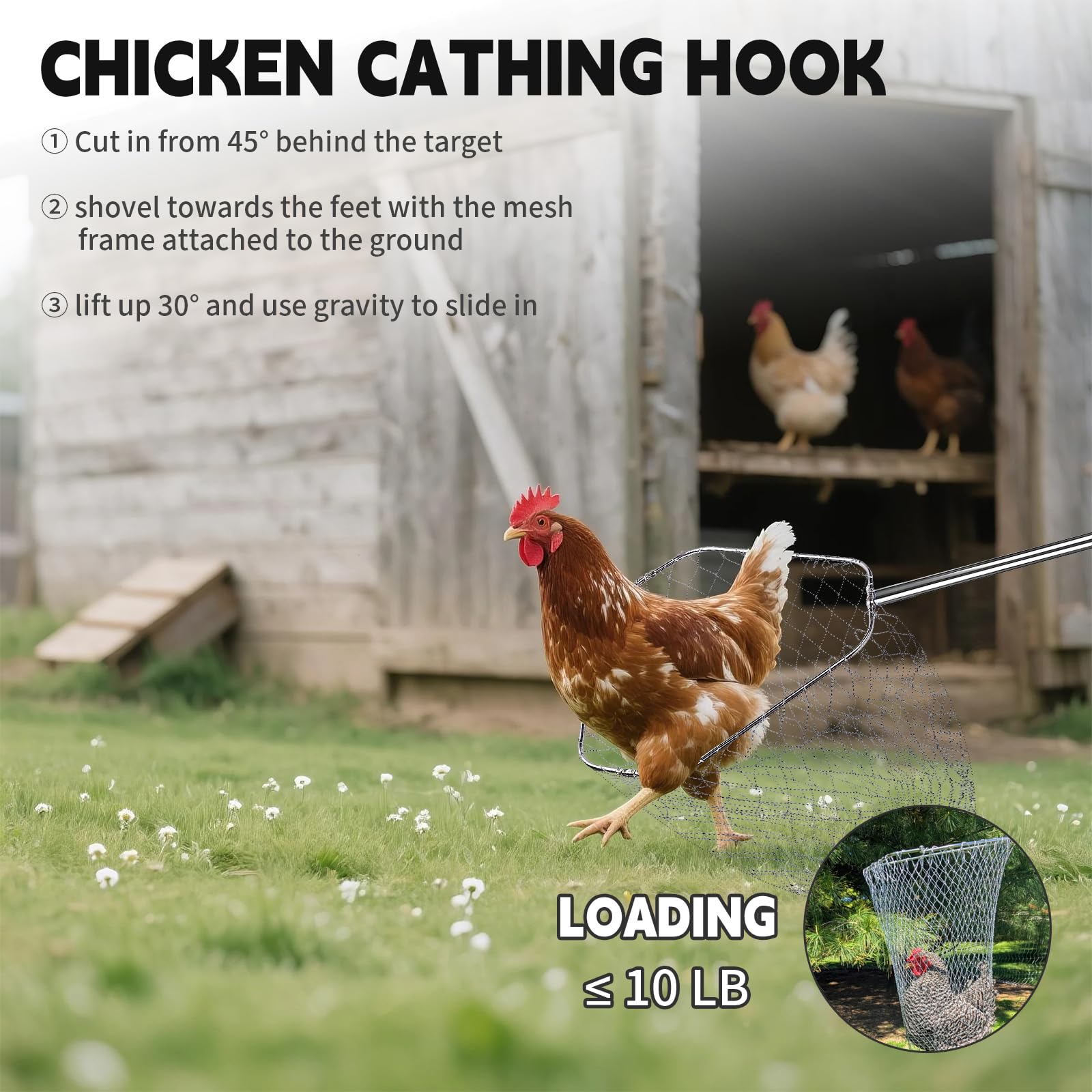 KUNELL PAPO gray net shows broad coverage for larger poultry.