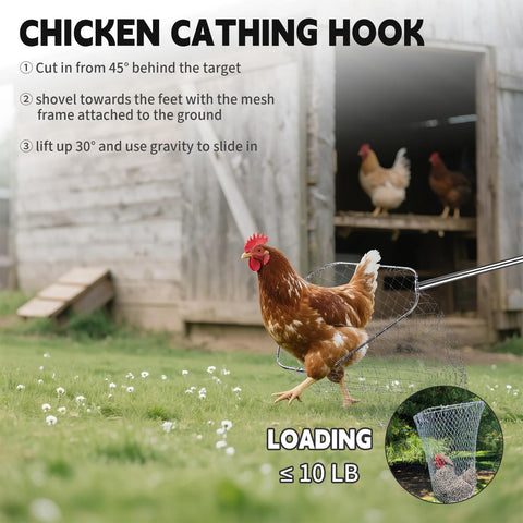KUNELL PAPO gray net shows broad coverage for larger poultry.