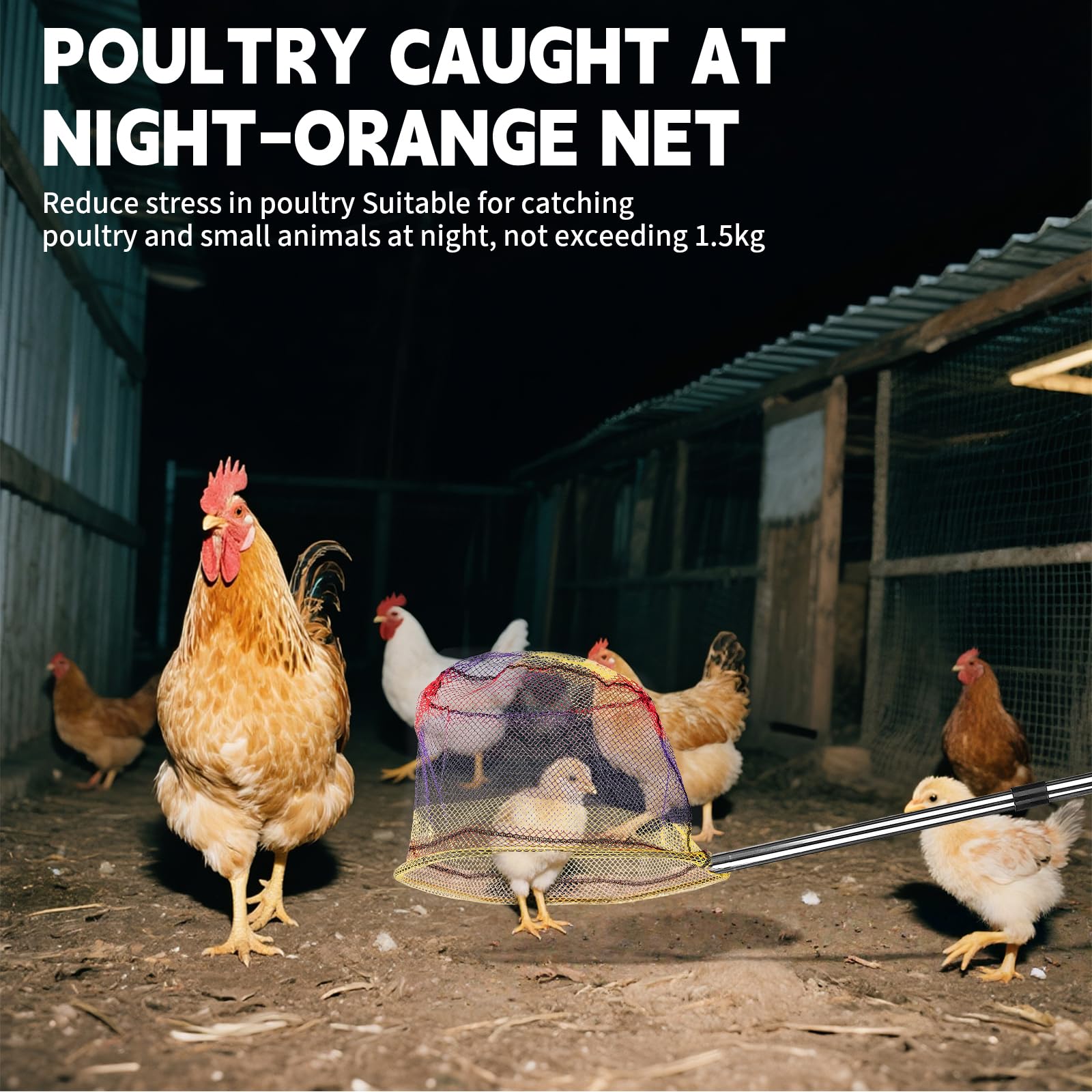 KUNELL PAPO orange net emphasizes gentle handling for smaller animals.