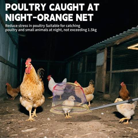 KUNELL PAPO orange net emphasizes gentle handling for smaller animals.