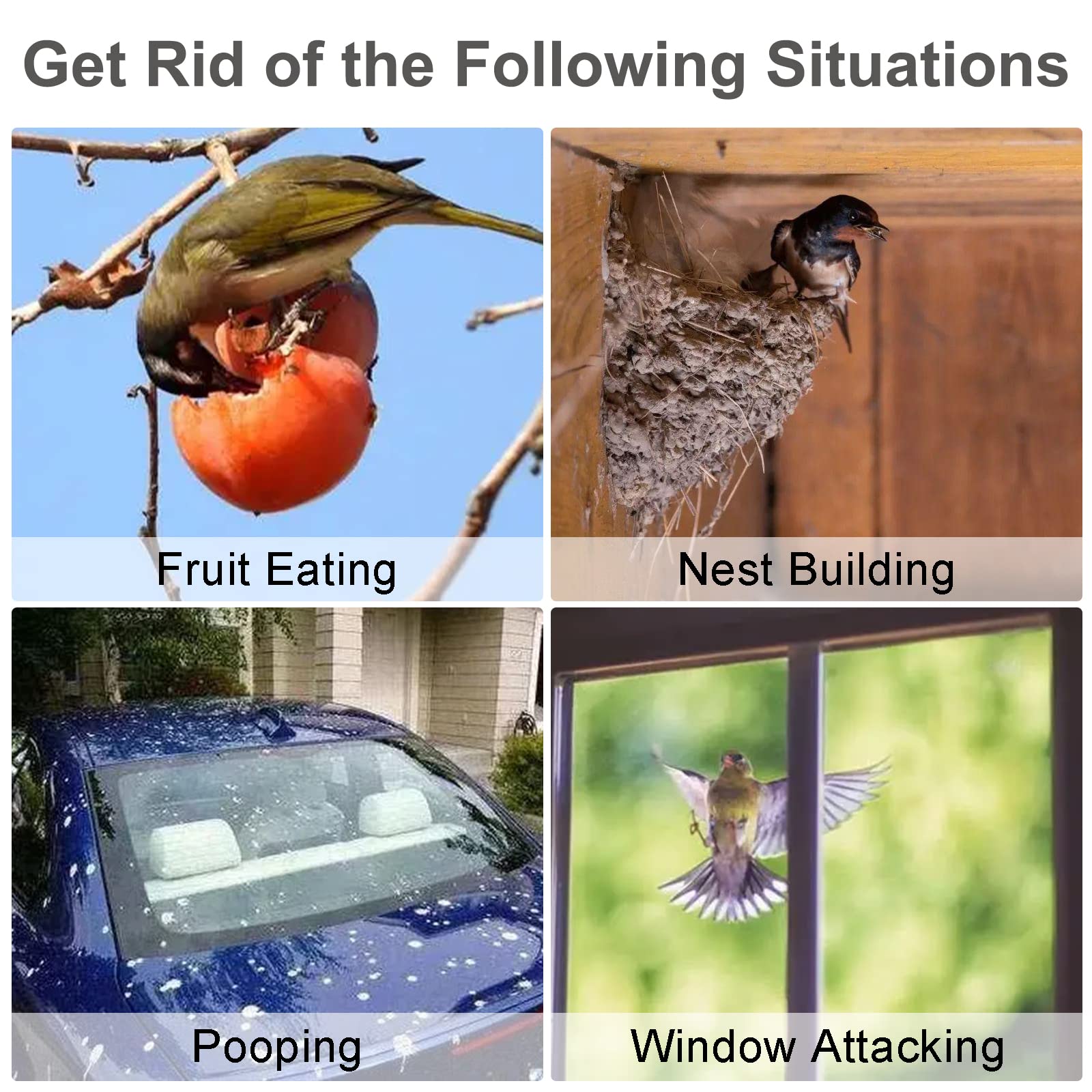 Kungfu Mall bird deterrent helps protect gardens without harming wildlife.