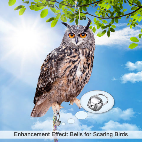 Kungfu Mall patio garden setup owl deters birds near doors and windows.