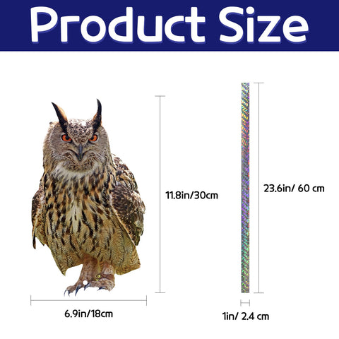 Kungfu Mall patio window owl decor adds charm and deterrence.