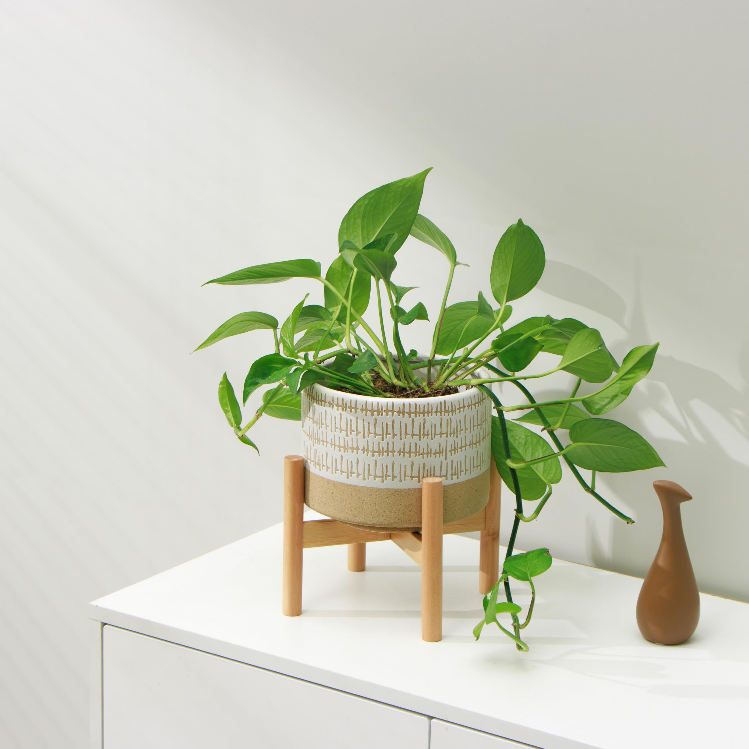 Kurrajong Farmhouse ceramic planter on kitchen counter adds a decorative touch.