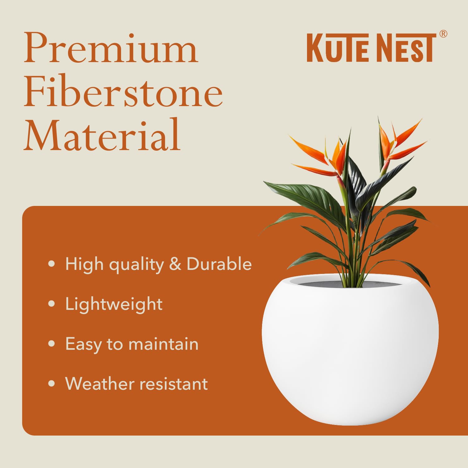 KUTE NEST large round planter with olive tree for scale