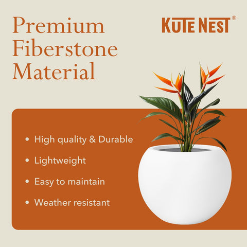 KUTE NEST large round planter with olive tree for scale