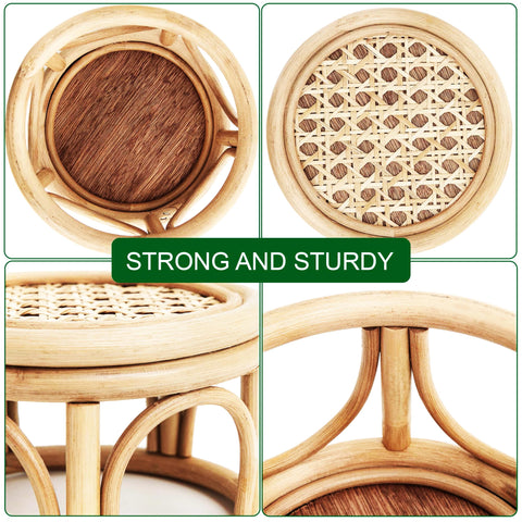 KUTORKILL boho rattan round riser stand with plants tabletop decor