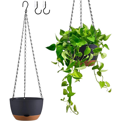 Kvetto 8-Inch self-watering hanging planter setup for balcony gardening
