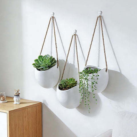 Kvetto home office wall planters create a fresh workspace.