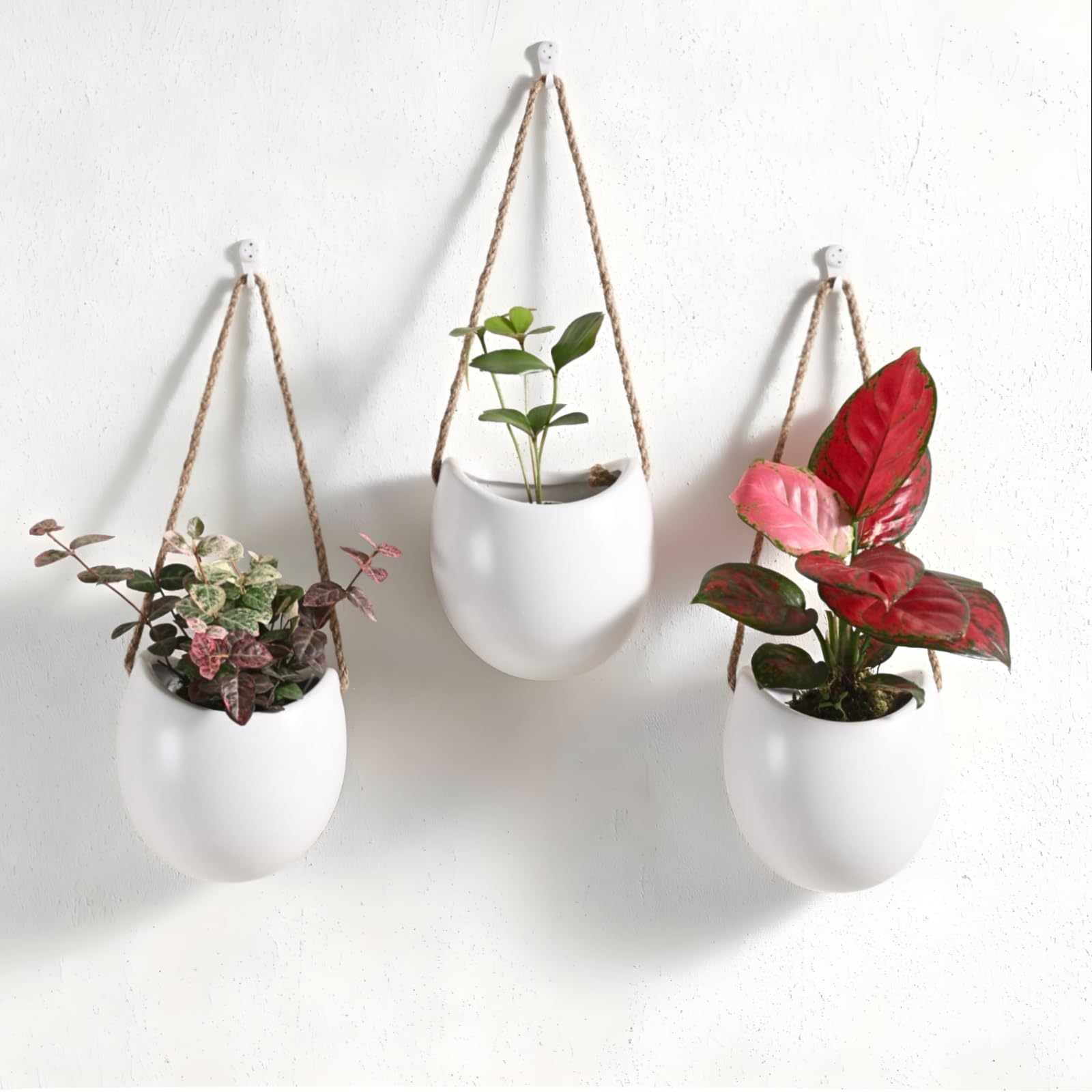 Kvetto ceramic hanging planter set of 3 on wall for compact greenery.