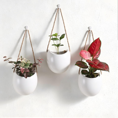 Kvetto ceramic hanging planter set of 3 on wall for compact greenery.