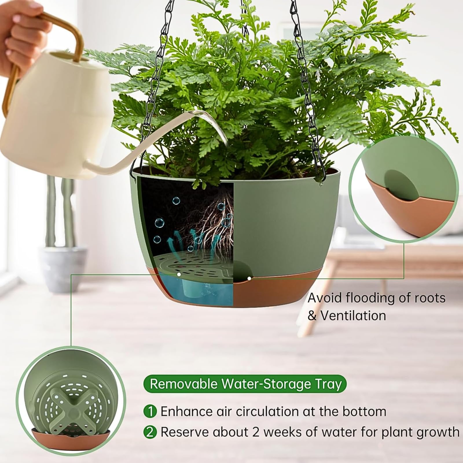 Kvetto color-block design hanging planter adds modern style to any space.