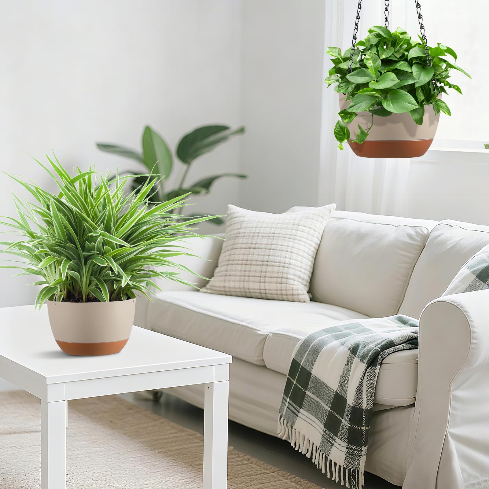 Kvetto hanging planter color block design adds modern style.