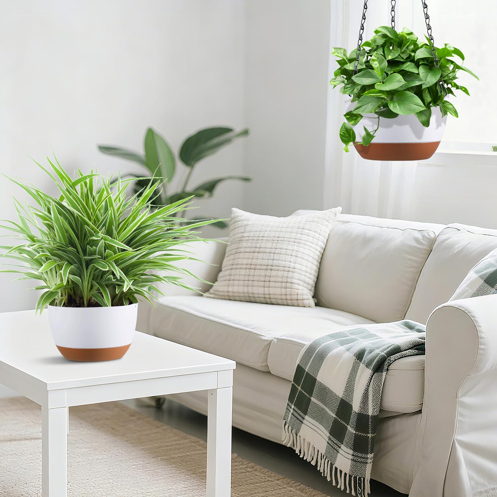 Kvetto 8-inch PP-planter is sturdy yet lightweight for easy placement.
